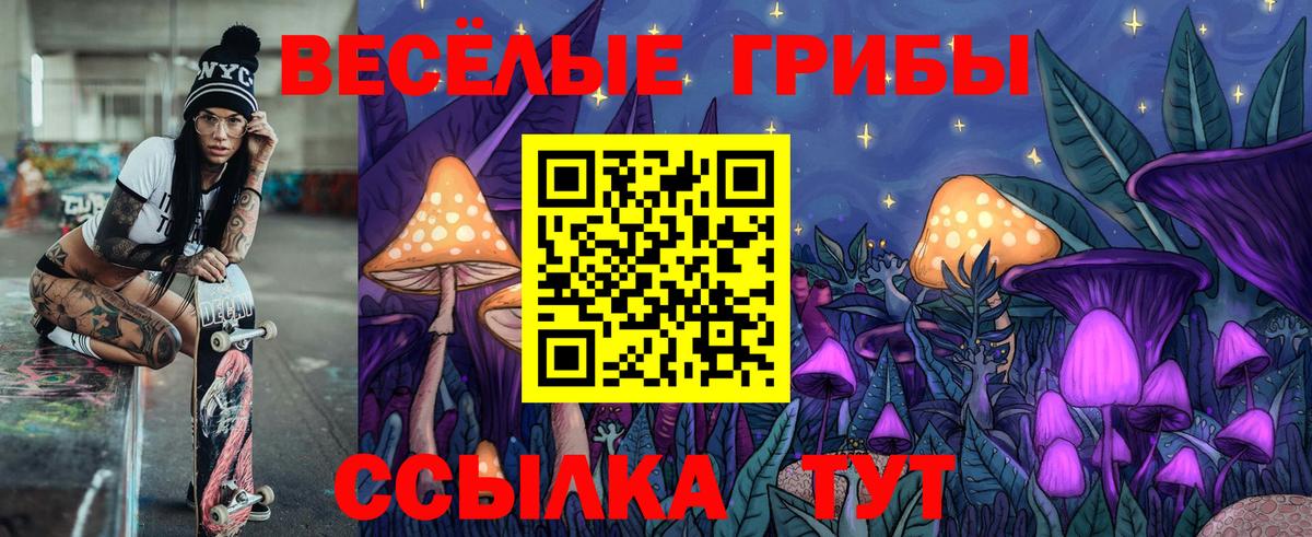 Галлюциногенные грибы Psilocybine cubensis  Вход с VPN  Волоколамск  Псилоцибиновые грибы Psilocybe 